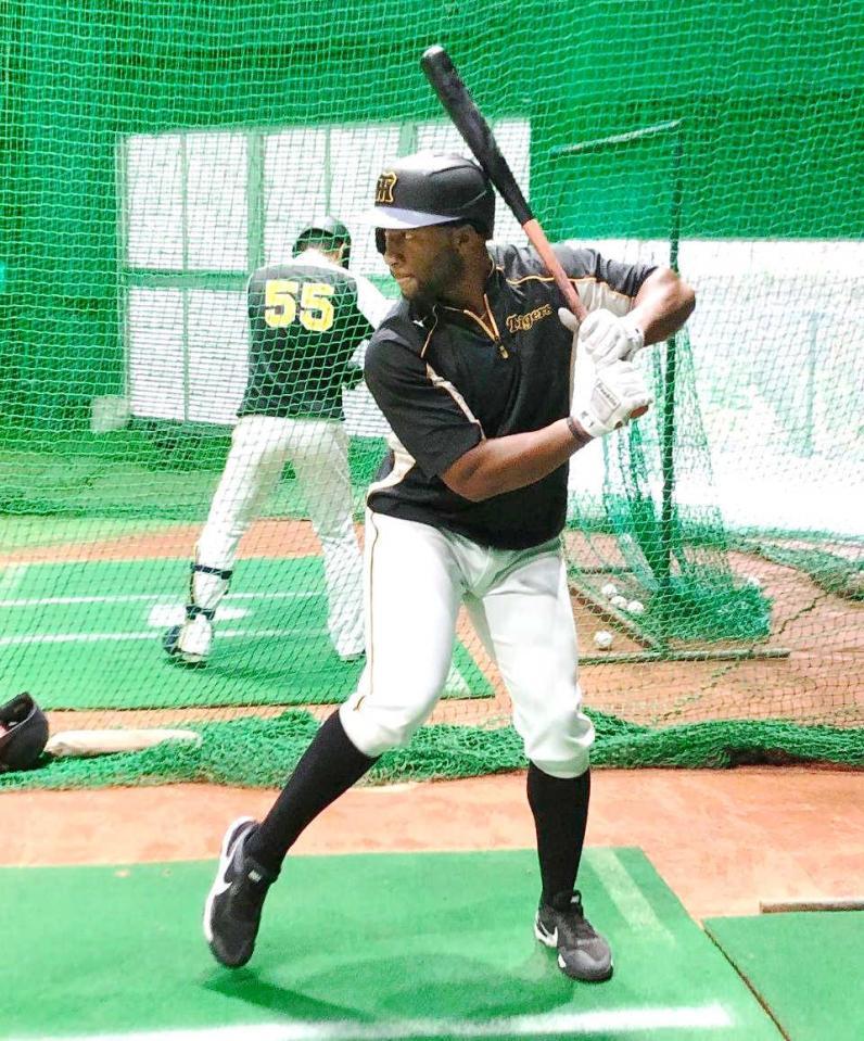 　打撃練習するロハス（写真は阪神タイガース提供）
