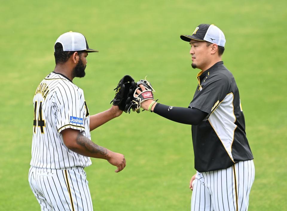 　キャッチボールを終えグラブタッチを交わす阪神・秋山拓巳（右）と阪神・アルカンタラ（撮影・飯室逸平）