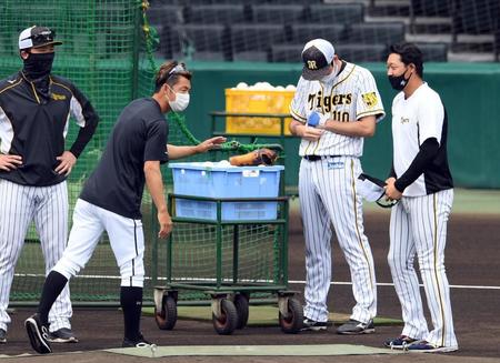 　鳥谷（左）にあいさるする大山（撮影・山口登）