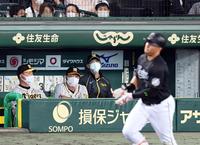 　８回、マーティンに逆転２ランを打たれベンチの矢野監督（右から２人目）は厳しい表情を見せる（撮影・山口登）