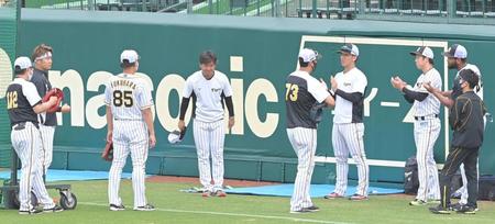 １軍に合流し、投手陣の前であいさつする阪神・村上（左から４人目）＝撮影・高部洋祐