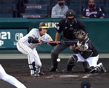 ３回、秋山は送りバントを決める（撮影・山口登）