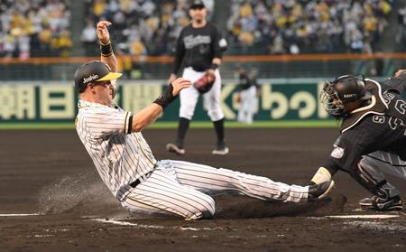 ２回、阪神・アルカンタラのタイムリーで生還するサンズ＝甲子園（撮影・飯室逸平）