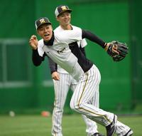 はつらつとノックを受ける阪神・佐藤輝。後方は中野＝甲子園（撮影・田中太一）