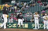 ２回、ロッテ・佐々木朗（左手前）から同点適時打を放った阪神・佐藤輝は右手を挙げる＝甲子園（撮影・田中太一）