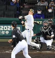 ８回、阪神・佐藤輝は空振り三振に倒れる＝甲子園（撮影・山口登）