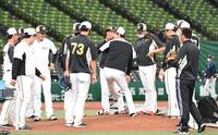 　マウンドの感触を確かめる青柳ら投手陣（撮影・飯室逸平）
