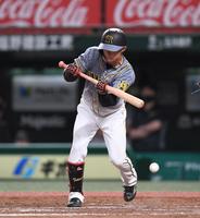 ８回、バントを失敗する中野（撮影・金田祐二）