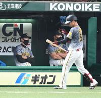 ８回、スリーバントを失敗しベンチに戻る中野（右）を腕組みで見つめる矢野監督（撮影・高石航平）