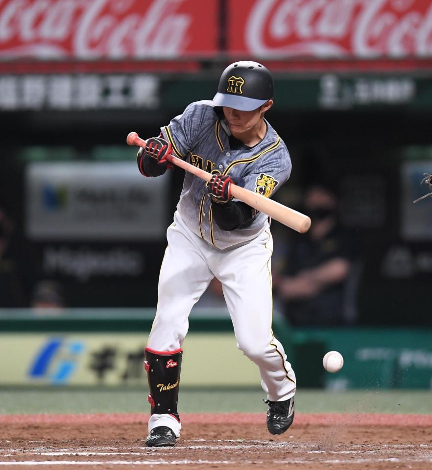 ８回、バントを失敗する中野（撮影・金田祐二）