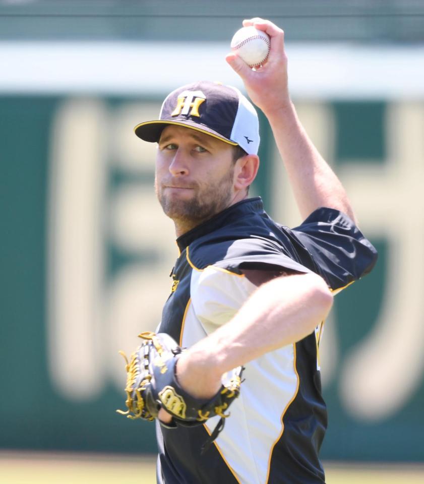 キャッチボールで調整する阪神・ガンケル＝甲子園（撮影・田中太一）