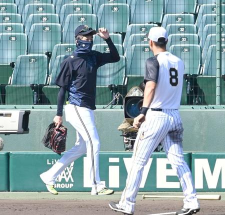 グラウンドに姿を見せるオリックス・能見（左）を見る阪神・佐藤輝（８）＝甲子園（撮影・飯室逸平）