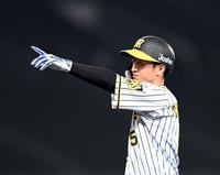 ５回、同点適時打を放った阪神・近本はベンチからの声援に応える＝甲子園（撮影・山口登）