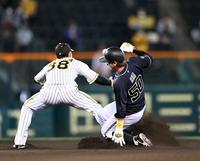 ８回オリックス１死一塁、阪神・中野拓夢からの送球がそれ、阪神・小幡竜平は捕球できず（走者オリックス・小田裕也）＝甲子園（撮影・山口登）