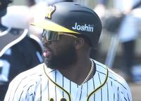 　阪神・メル・ロハス・ジュニア