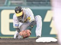 １回、伏見の打球を好捕した北條（撮影・高部洋祐）