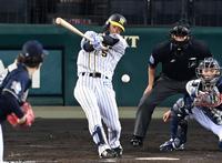 ５回、中前打を放つ近本（撮影・飯室逸平）