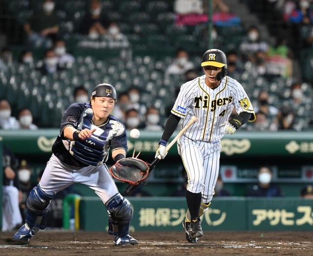 １４戦連続の オセロ現象 連勝できない阪神の原因の一つは送りバント 阪神タイガース デイリースポーツ Online