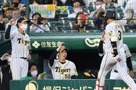 ８回、ソロを放った阪神・大山悠輔を迎える阪神・青柳晃洋（中央）＝甲子園（撮影・田中太一）