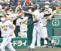 　３回、先制２ランを放ち、矢野監督らの出迎えを受けるマルテ（撮影・吉澤敬太）