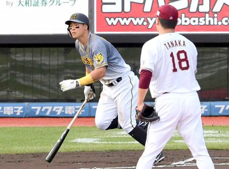 　６回、田中将から１６号ソロを放つ佐藤輝（撮影・田中太一）