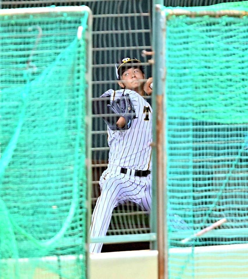 　ブルペンで投球練習をする高橋遥（代表撮影）