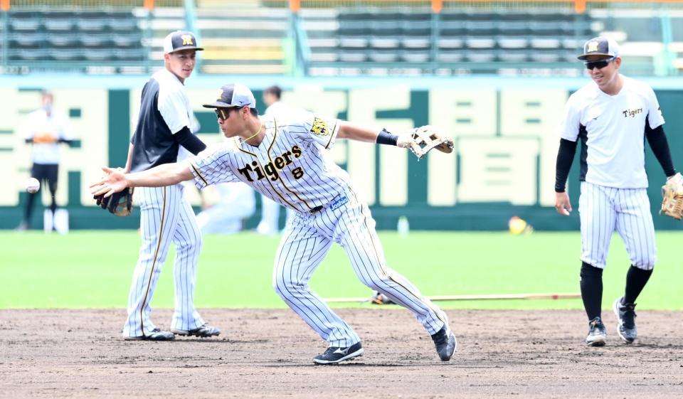 糸原、植田らと二塁で守備練習する佐藤輝（撮影・飯室逸平）