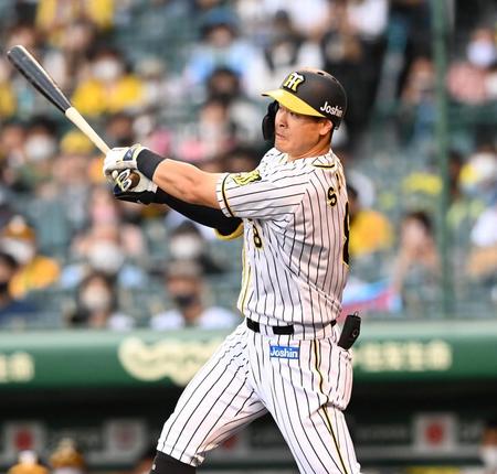 ６回、右越えに１７号ソロを放つ阪神・佐藤輝明＝甲子園（撮影・飯室逸平）