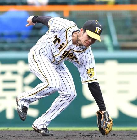 ４回、巨人・北村拓己のゴロを回り込んで捕球し、アウトにする阪神・中野拓夢＝甲子園（撮影・北村雅宏）
