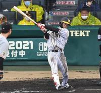 ８回、中野拓夢は左前打を放つ＝甲子園（撮影・佐々木彰尚）