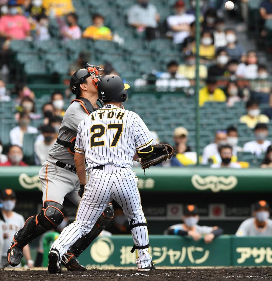 ５回、捕邪飛に倒れる阪神・伊藤将司＝甲子園（撮影・北村雅宏）