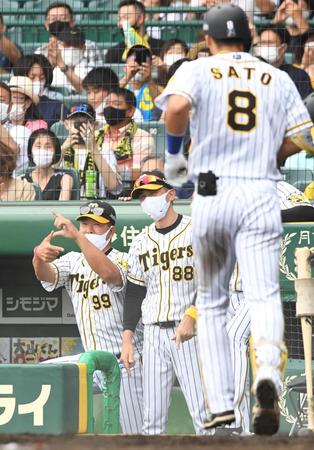 ６回、ソロを放った佐藤輝（８）を迎える矢野監督（中央）（撮影・北村雅宏）