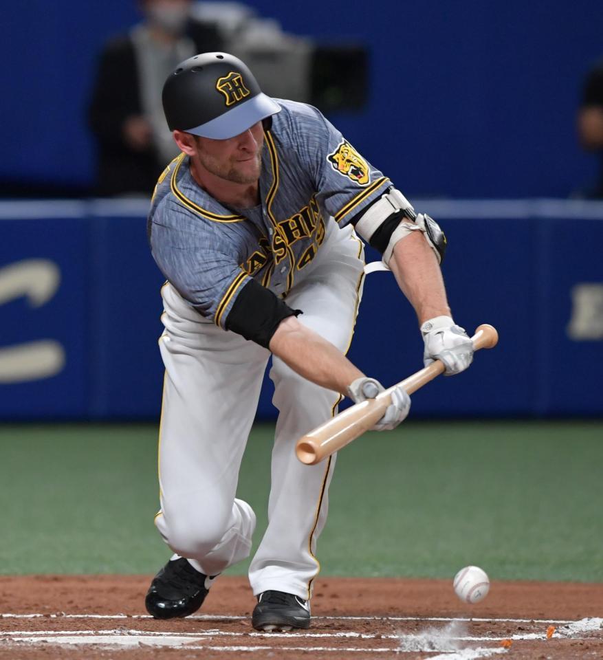 ３回、送りバントを成功させる阪神・ガンケル（撮影・神子素慎一）