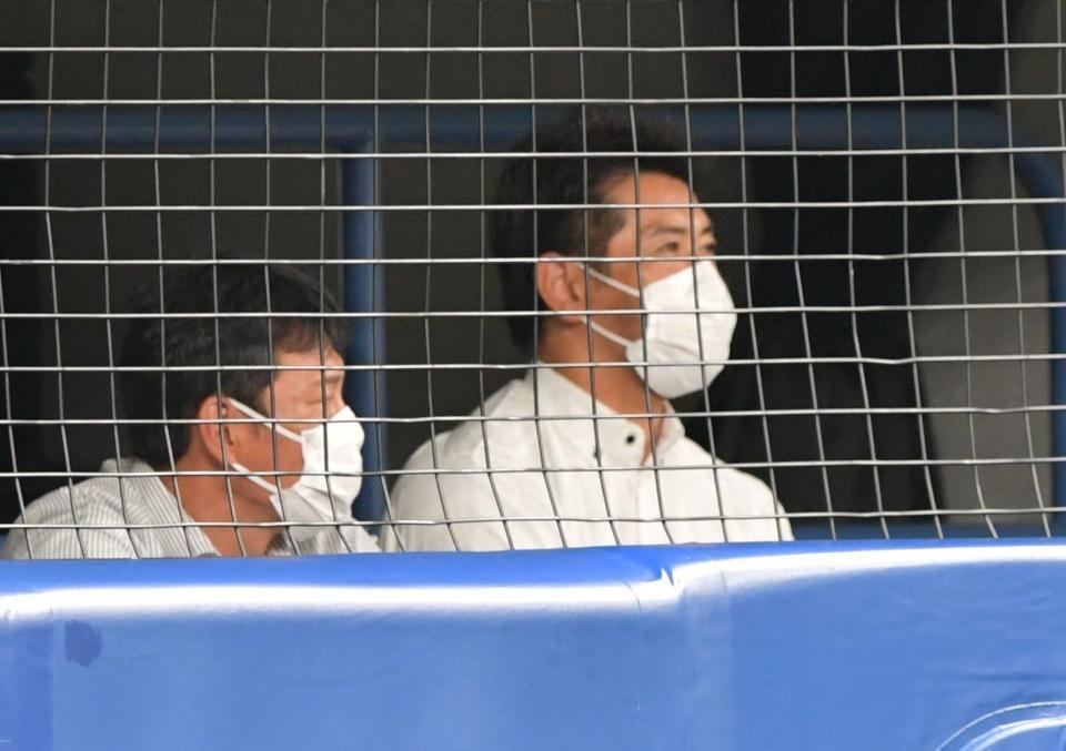　中日対阪神戦を視察する日本代表・稲葉篤紀監督（撮影・神子素慎一）