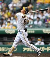 ５回、遊飛に倒れる阪神・佐藤輝明（撮影・北村雅宏）