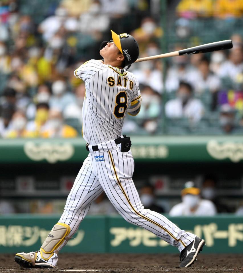 ５回、遊飛に倒れる阪神・佐藤輝明（撮影・北村雅宏）