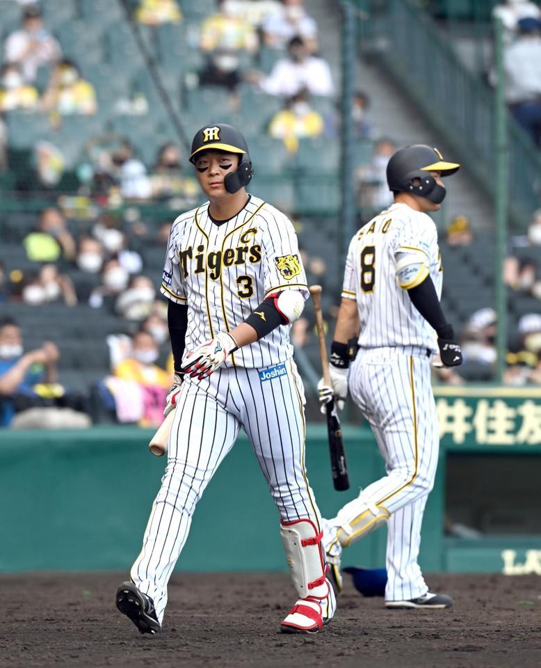 ８回、阪神・大山は捕邪飛に倒れベンチに戻る（撮影・山口登）