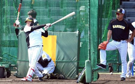 　打撃練習をする大山。右は井上コーチ（撮影・田中太一）
