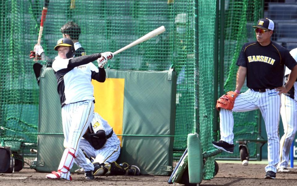 　打撃練習をする大山。右は井上コーチ（撮影・田中太一）