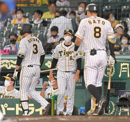 　８回、三振に倒れた阪神・佐藤輝と選手交代を告げにベンチを出る矢野監督（撮影・高部洋祐）