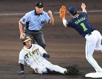 　１回、二盗を決める阪神・近本（撮影・田中太一）
