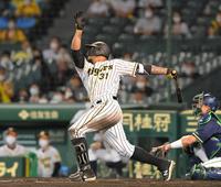 　８回、右越えに同点ソロを放つマルテ（撮影・高部洋祐）