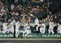 　８回、同点ソロを放った阪神・マルテを迎え“ラパンパラ”ポーズを決めるナイン（撮影・田中太一）