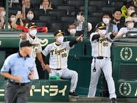 　８回、リクエストで阪神・マルテの同点ソロとなり指をさして喜ぶ矢野監督ら首脳陣（撮影・田中太一）