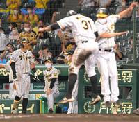 　８回、同点ソロを放った阪神・マルテを見つめる矢野監督（撮影・高部洋祐）