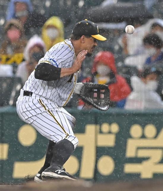 【写真】いいことばかりではない阪神・マルテ　まさかのイレギュラーで顔面直撃