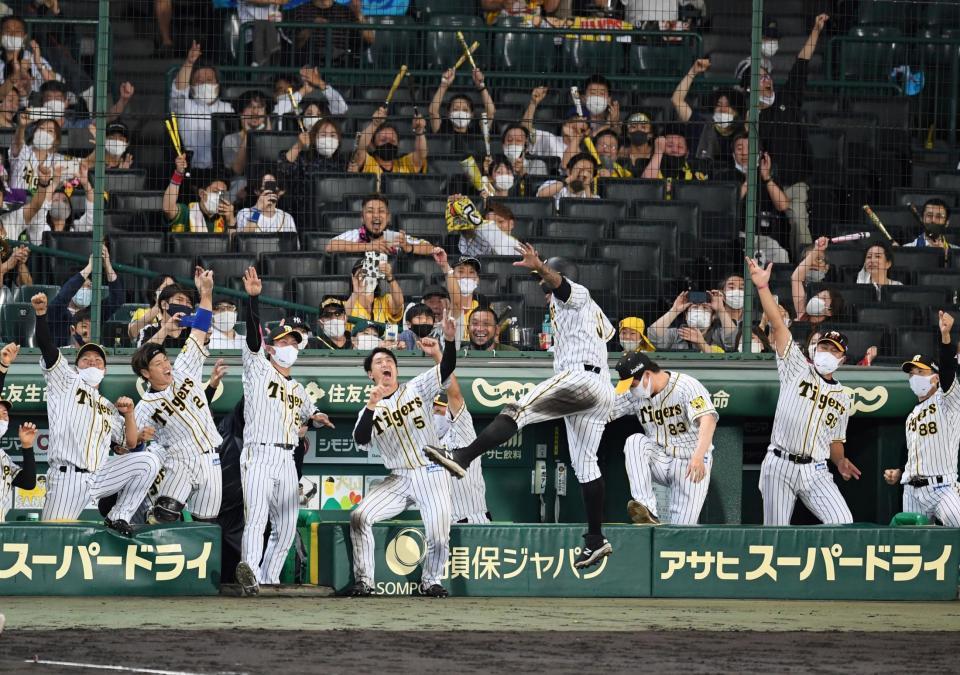 　８回、同点ソロを放った阪神・マルテを迎え“ラパンパラ”ポーズを決めるナイン（撮影・田中太一）