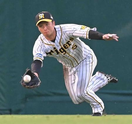 　２回、中村の飛球を好捕する近本