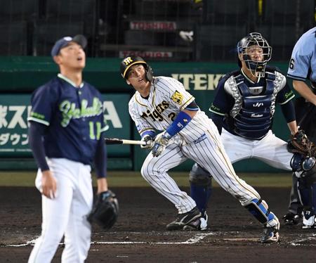 　６回、左越えへ先制ソロを放つ阪神・梅野。投手はヤクルト・奥川（撮影・田中太一）