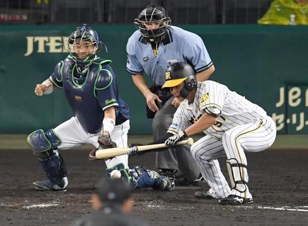 　８回、送りバントを失敗し、併殺に倒れる阪神・小野寺（撮影・田中太一）